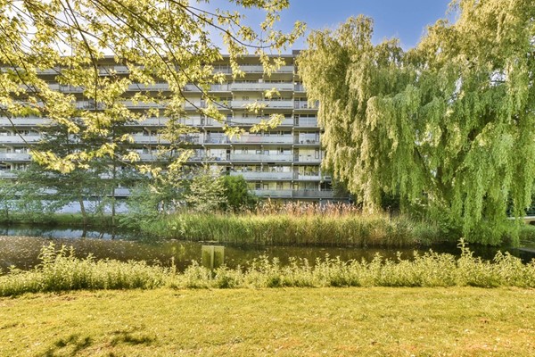 Condorhorst 38, Leiden